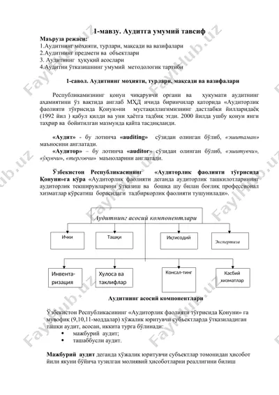 аудитга умумий тавсиф — DOCX