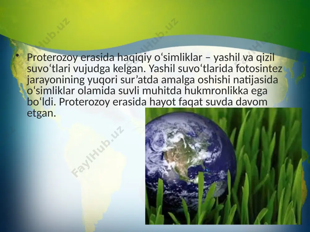 o‘simliklar filogenezi. o‘simliklarning vegetativ organlari filogenezi. 11 - sinf - Page 5