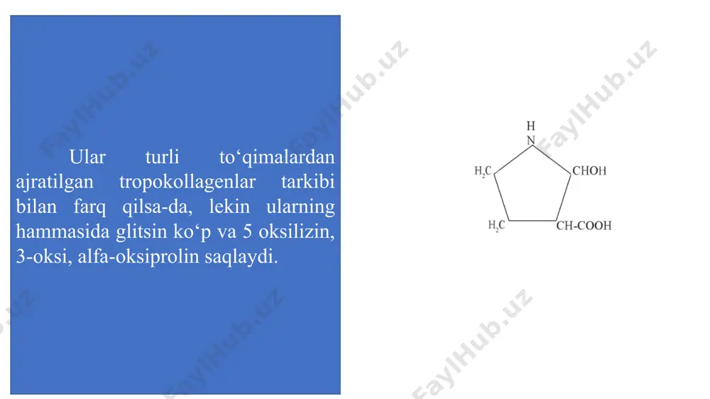 , xondroitin-4-sulfat, xondroitin-6-sulfat, dermatansulfat, keratansulfat i va ii, geparan sulfat va geparin. gialuronat kislota bu glikozaminoglikanning qaytariluvchi disaxarid birligi quyidagi strukturaga ega: d-glyukuron kislota qoldig‘i qoldig‘i n-atsetilglyukozamin molekulyar og‘irligi 105 dan 107 gacha. ko‘pchilik to‘qimalarda kam miqdorda uchraydi, lekin proteoglikan agregatlarini hosil qilishda muhim struktural vazifa bajaradi. xondroitinsulfatlar keng tarqalgan glikozaminlar – xondroitin-4 sulfat va xondroitin-6-sulfat n-atsetilgalaktozamin 4- yoki 6-gidroksil guruhida sulfat efirining joylashishi bilan farqlanadi: molekulyar og‘irligi 1.104 –6.104, ko‘pchilik preparatlar polidispers hisoblanadi. turli to‘qimalardan ajratilgan preparatlarning sulfatlanish darajasi turlidir. to‘qimalarda xondroitin-4-sulfat yoki xondroitin-6 sulfat, yoki ularni aralashmasi bo‘ladi. qaytariluvchi disaxarid birliklardan tuzilgan zanjir polipeptid o‘zandagi serin bilan kovalent bog‘langan. bunda qo‘shimcha fragment bo‘lib trisaxarid galaktozil galaktozil – kisloza hisoblanadi. dermatansulfatlar bu glikozaminoglikanlar xondroitinsulfatlardan farqli ravishda ular molekulasida l-iduron kislota bo‘ladi va quyidagi qaytariluvchi disaxarid birliklardan iborat: d-iduron kislota qoldig‘i n-atsetilgalaktozamin-4 sulfat qoldig‘i qaytariluvchi birlikda ko‘p bo‘lmagan miqdorda iduron kislota o‘rniga glyukuron kislota bo‘lishi mumkin. bu glikozaminlar xondroitinsulfatlardagi kabi …