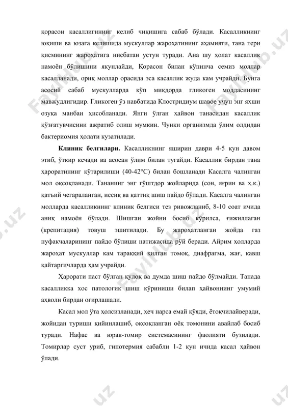 ан сон, бўйин, елка, кўкрак, сағринда, кам ҳолларда томоқ ва диафрагма оёқчаларида, тил ва миокардда учрайди. ана шу жароҳатланган жой қорамтир-қизғиш рангда бўлади, баъзан жуда қорайиб кетади. кесиб кўрилганда ғижиллаб, ҳаво пуфакчалари борлиги сезилади, қуруқ ва ғоваксимон тузилма кўзга ташланади. жароҳат жойи чуқурроқ кесиб кўрилса, баъзан ичкарироғи кўкимтир-сарғиш рангда эканлиги маълум бўлади. регионар лимфатик тугунлар кесиб кўрилганда суюқлик ажралиб туради ва қонталашган бўлади. кўкрак ҳамда қорин бўшлиғи, юрак халтаси атрофи қизғиш қуйқа суюқликка тўлиб туради. баъзан шиллиқ пардалар фибринли юмшоқ юпқа қоплама билан қопланган, айрим ҳолларда талоқ бир оз катталашиб, юмшаб кетган бўлади, оқсилли ва мойли дистрофия кўзга ташланади. капсула таги қуруқроқ, газ пуфакчалари, ёнғоқдек некротик ўчоқлар пайдо бўлади. буйрак юмшаб, пўстлоқ қисми қизгиш-сариқ рангли бўлиб, ҳаво пуфакчалари кузатилади. ошқозон-ичак системасида кўзга кўринарли ўзгаришлар учрамайди, баъзан ширдон ва ингичка ичакларда яллиғланиш ҳолати кузатилиши мумкин. юрак бир оз кенгаяди, эпикард тагига қон қуйилиб, донадор дистрофия кузатилади. ўпка шишиб қонталашади. юқорида кўрсатиб …