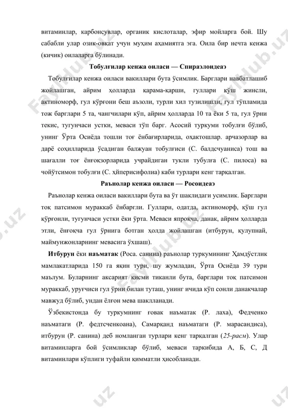 р. мараcандиcа), итбурун (р. cанина) деб номланган турлари кенг тарқалган (25-расм). улар витаминларга бой ўсимликлар бўлиб, меваси таркибида а, б, c, д витаминлари кўплиги туфайли қимматли ҳисобланади. кўпгина маданий атиргуллар келиб чиқишига кўра табиий ҳолда тарқалган ёввойи наъматак билан боғлиқ. уларнинг оқ атиргул (роса алба), хитой атиргули (р. чиненсис), қирқ оғайни (р. доместиcа), гули раъно (р. мультифлора) сингари турлари гулхоналарда ўстирилишидан ташқари муҳим эфир мойли ўсимликлардан ҳисобланади. қадим-қадим замонлардан бери ўрта осиё халқлари бу ўсимликларнинг тож баргларидан ҳар хил мурабболар ва ниҳоятда хушбўй ичимлик — гулоб тайёрлашган. маймунжон (рубус) туркумининг 6 тури ўзбекистонда ўт ўсимликларга бой тош ва шағал тошли аралаш тупроқли тоғ ёнбағирларида ўсади. уларнинг зангори маймунжон (рубус cаэсиус), оддий маймунжон (р. идаэус), қора маймунжон (р. сангуинеус) деб номланган турлари ўсади, уларнинг барчаси тиканли бута шаклидаги ўсимлик. қулупнай (фрагариа) — ертутнинг ёввойи ҳолда 6, маданий ҳолда 2 тури учрайди. уларнинг аксарият қисми кўп йиллик ўт ўсимлик. баргларининг охири мўйловга …