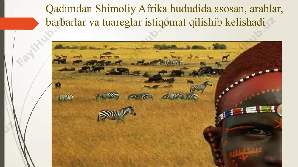 xix asr oxiri xx asr boshlarida shimoliy afrika - Page 3