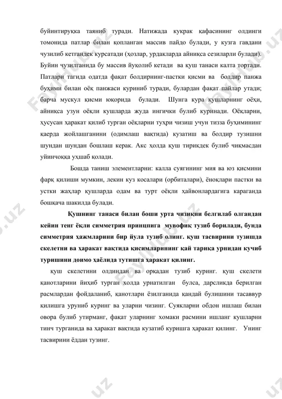 жа буҳими билан оёқ панжаси куриниб туради, булардан фақат пайлар утади; барча мускул қисми юқорида булади. шунга кура қушларнинг оёҳи, айниқса узун оёқли кушларда жуда ингички булиб куринади. оёқларни, ҳусусан ҳаракат қилиб турган оёқларни туҳри чизиш учун тизза буҳимининг қаерда жойлашганини (одимлаш вақтида) кузатиш ва болдир тузишни шундан шундан бошлаш керак. акс ҳолда қуш тирикдек булиб чиқмасдан уйинчоққа уҳшаб қолади. бошда таниш элементларни: калла суягининг мия ва юз қисмини фарқ қилиши мумкин, лекин куз косалари (орбиталари), ёноқлари пастки ва устки жаҳлар қушларда одам ва турт оёқли ҳайвонлардагига караганда бошқача шакилда булади. қушнинг танаси билан боши урта чизиқни белгилаб олгандан кейин тенг ёқли симметрия принцпига мувофиқ тузиб борилади, бунда симметрия ҳажмларини бир йула тузиб олинг. қуш тасвирини тузишда скелетни ва ҳаракат вақтида қисимларининг қай тариқа урнидан кучиб туришини доимо ҳаёлида тутишга ҳаракат қилинг. қуш скелетини олдиндан ва орқадан тузиб куринг. қуш скелети қанотларини йиҳиб турган холда урнатилган булса, дарсликда берилган расмлардан …