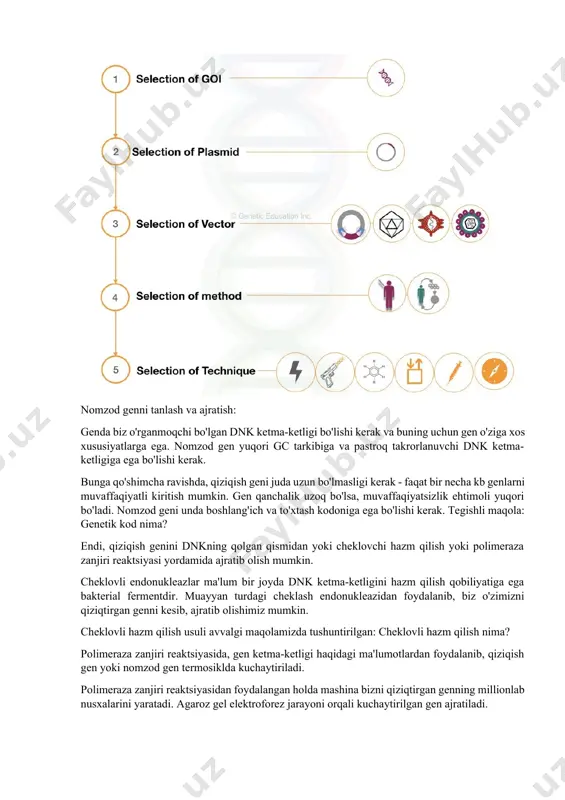 tligini hazm qilish qobiliyatiga ega bakterial fermentdir. muayyan turdagi cheklash endonukleazidan foydalanib, biz o'zimizni qiziqtirgan genni kesib, ajratib olishimiz mumkin. cheklovli hazm qilish usuli avvalgi maqolamizda tushuntirilgan: cheklovli hazm qilish nima? polimeraza zanjiri reaktsiyasida, gen ketma-ketligi haqidagi ma'lumotlardan foydalanib, qiziqish gen yoki nomzod gen termosiklda kuchaytiriladi. polimeraza zanjiri reaktsiyasidan foydalangan holda mashina bizni qiziqtirgan genning millionlab nusxalarini yaratadi. agaroz gel elektroforez jarayoni orqali kuchaytirilgan gen ajratiladi. agar ilgari qiziqish geni yaxshi o'rganilgan bo'lsa, u holda gen haqidagi ma'lumotlar genetik kutubxonada mavjud bo'lib, biz undan o'zimizni qiziqtirgan genni sun'iy sintez qilish uchun foydalanishimiz mumkin. (genetik kutubxona ma'lumotlaridan foydalanib, genni sun'iy ravishda sintez qilish ham mumkin) keyingi bosqichda, agar kerak bo'lsa, dnkni tozalashni amalga oshiring. endi bizning dnk plazmidga joylashishga tayyor. plazmidni tanlash va qurish: gen muhandisligi tajribasi uchun plazmidni tanlash butun eksperimentdagi hal qiluvchi bosqichlardan biridir. plazmidni tanlashdan oldin, nima uchun plazmid genlarni uzatish tajribalarida ishlatilishini tushunishimiz kerak. plazmid dnk - …