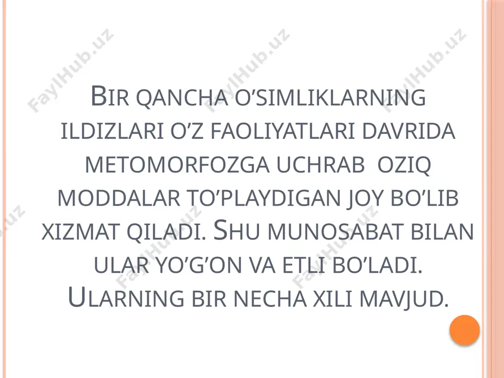 ildiz poya barg metamorfozi taqdimoti - Page 4