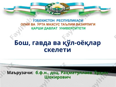 бош, гавда ва қўл-оёқлар скелети — PPTX