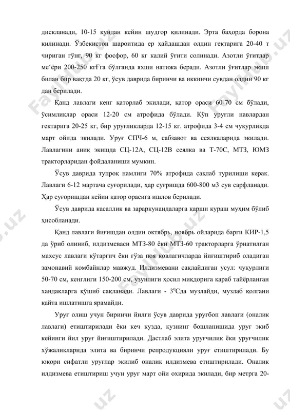 80 минг туп ўсимлик бўлади. оналик илдизмева майдароқ бўлади, 250-300 гр. баҳорда уруғлик лавлаги впт-4, впс-2,8 русумли машиналарда ўтқазилади, гектарига 16-20 минг илдизмева ўтқазилади. илдизмевалар яхши ўғитланиб, суғорилиб, қатор оралари ишланиши шарт. меваларни 40-50% жигар рангга кирганда жрб-4,2, жрб-4,2п ёрдамида ўрилади ва 5-6 кундан кейин янчилади. сақланадиган уруғнинг намлиги 13% дан ошмаслиги керак. адабиётлар: 1. каримов и. а. «кишлок хужалик тараккиёти тукин хаёт манбаи» олий мажлиснинг 10-сессиясида сузлаган нутки. тошкент 1997 й.- 2. отабоева. х. ва бошкалар. «усимликшунослик». тошкент. мехнат. 2000 й. 3. ёрматова д. «усимликшунослик» тошкент шарк 2007 й. 4. е. т. шайхов ва бошкалар пахтачилик. тошкент мехнат 1997 й 5. чирков в. н. «усимликшунослик» тошкент, узбекистон. 1994 й. 6. керефов к. н. «биологические основў растениеводетво» вўсшая школа. м. 1982 г.