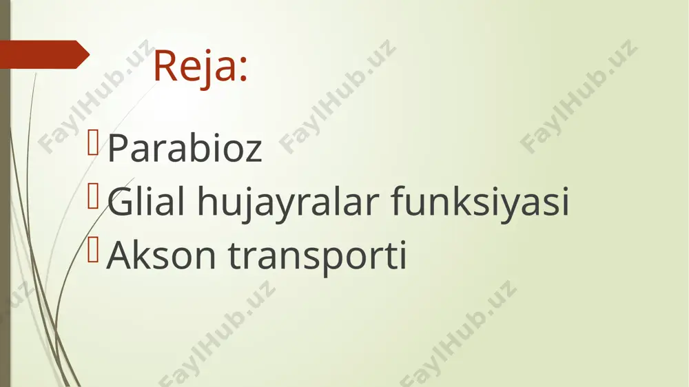 parabioz holati.gilial hujayralarning funktsiyalari va akson transporti - Page 3