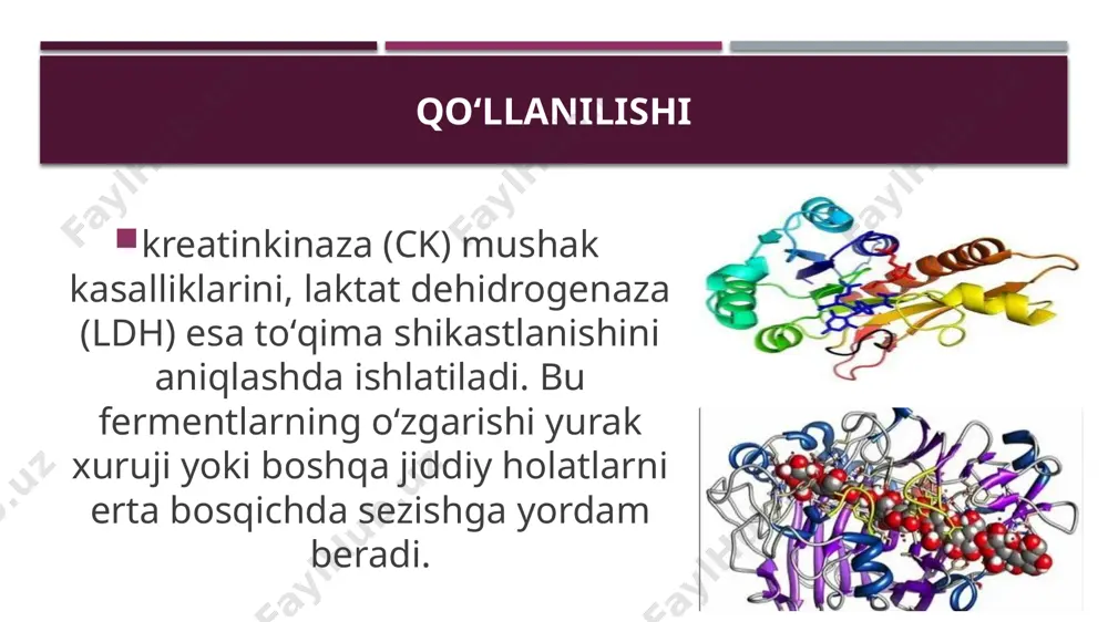 fermentlarning tibbiyotda qoʻllanilishi - Page 5