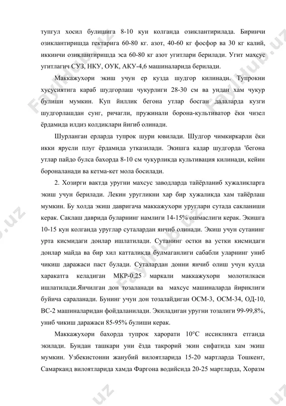 60, 70, 90 см. килиб экилиб, унинг навига караб хар 15-20 см. ораликда биттадан усимлик колдирилади. эртапишар нав ва дурагайлар экилганда бир гектар ерда 70-80 минг усимлик, уртапишар нав ва дурагайлар экилганда эса бир гектар ерда 50-55 минг усимлик, кечпишарларда эса 40 минг усимлик колдирилади. уругнинг экиш меъёри 15-20 кг.дан 25-30 кг.гача булади. 3. маккажухори экинини парвариш килиш. экинни парвариш килиш тупрок каткалогига карши кураш, катор ораларини ишлаш, ягоналаш, озиклантириш, сугориш ва уруглик учун экилган майдонларда кушимча чанглашдан иборат. усув даврида маккажухори 3 марта культивация килинади. усимликда уртача 3-4та барг хосил булганда биринчи культивация утказилади. маккажухори катор оралари кнр-4,2, мку-4,6, крх-2,8 маркали культиваторларда ишланади. маккажухори экинидаги бегона утларга карши гербицидлар огекон (4-6 кг.га), атразин (3-8 кг.га) трефлан (1-2 кг.га) гербицидлари ишлатилади. маккажухори навига тупрок шароитига караб 3 мартадан 6 мартагача сугорилади. 1-2 сув усимлик тупгул чикармасдан олдин берилади. тупгул чикариш ва дон етилиш даврида маккажухори сувга талабчанлиги ортади ва бу …