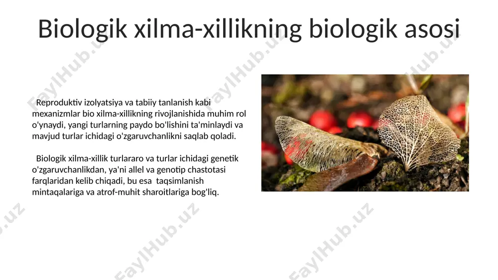 biologik xilma-xillik va uning shakllanishi - Page 5