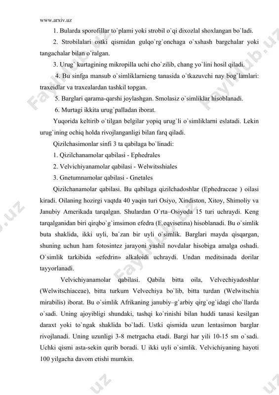 si. qabila bitta oila, velvechiyadoshlar (welwitschiaceae), bitta turkum velvechiya bo`lib, bitta turdan (welwitschia mirabilis) iborat. bu o`simlik afrikaning janubiy–g`arbiy qirg`og`idagi cho`llarda o`sadi. uning ajoyibligi shundaki, tashqi ko`rinishi bilan huddi tanasi kesilgan daraxt yoki to`ngak shaklida bo`ladi. ustki qismida uzun lentasimon barglar rivojlanadi. uning uzunligi 3-8 metrgacha etadi. bargi har yili 10-15 sm o`sadi. uchki qismi asta-sekin qurib boradi. u ikki uyli o`simlik. velvichiyaning hayoti 100 yilgacha davom etishi mumkin. gnetumnamolar qabilasi. bu qabilaga gnetumdoshlar oilasi (gnetaceae) kiradi. uning 40 ga yaqin turlari mavjud bo`lib, ular sharqiy osiyo, janubiy amerika va afrika hududlarida tarqalgan. hayotiy shakli daraxt, buta yoki chirmashib o`suvchi o`simliklardir. barglari poyaga qarama-qarshi joylashadi. ikki uyli o`simlik. ginkosimonlar sinfi. bu sinf 1 ta ginkgonomalar (ginkgoales) qabilasini va 1 ta ginkgodoshlar oilasini o`z ichiga oladi. uning hozirgi davrda ma`lum bo`lgan yagona vakili ikki bo`lak bargli ginkgo (ginkgo biloba) hisoblanadi. bu o`simlik yovvoyi holda faqat xitoyning sharqiy- janubiy qismida uchraydi. ginkgo …