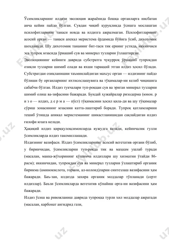 симликларда эса 40 баравар ошишига са-(абчи бўлади. тукчалар узоқ яшамайди, улар 10—15 кунда хаётчанлигини йўқотиб, келгуси баҳорда илдизнинг бошқа рйидан янгитдан юзага келади. ўрта осиёнинг чўл ва ярим чўлларида ўсувчи ўтчил римликларнинг илдизларида эфемер (юнон. э ф е м е -',о с — бир кунли) умри қисқа тукчалар ҳосил бўлади. шу 'укчалар баҳорда намгарчилик вақтида тупроқнинг юза исмидаги сув ва минерал тузларни сўриш учун хизмат илади. тупрокда нам қуригандан сўнг эфемер тукчалар ам қурийди. илдизнинг ривожланиши. илдиз бошланғичи уруғда дайлашган бўлади. уруғ униб ўса бошлаганда дастлаб '(нинг илдизи пўстни ёриб ташқарига чиқади. бир палла-|и ўсимлик уруғидан бир неча илдиз, икки паллали ўсим-1ик уруғидан фақат битта илдиз чиқади ва тараққиётини |авом эттириб, асосий ёки ўқ илдизга айланади. асосий илдиз билан поя ўртасидаги чегара илдиз бўйни деб талади. поянинг илдиз бўйнидан биринчи муртак барг-/(аригача (уруғпаллаларгача) бўлган қисми гипокотиль кфуғпалланинг ости) деб аталади. 1твожланиш хусусиятига қараб, асосий ёки ўқ илдиз ва '/ўшимча илдизлар …