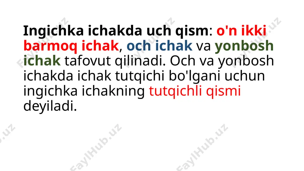 ingichkaichak (intestinum tenue) - Page 5