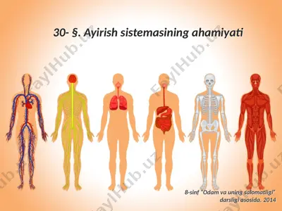 ayirish sistemasining ahamiyati. 8 - sinf — PPTX