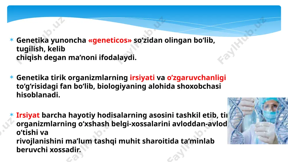rlarini ta’sir ettirib, ularning irsiyatini o‘zgartirish ya’ni mutatsiyani sun’iy yol bilan vujudga keltirish mumkinligini isbot berdi. xx asrning 20-30 yillarida s.rayt, r.fisherlar populyatsiyalardagi jarayonlarni matematik metodlar yordamida o‘rganish mumkinligini asoslab berdilar. genetika fani rivojlanishining uchinchi bosqichi genetik tadqiqotlarga, kimyo, fizika, matematika va kibernetika fanlari metodlarini tatbiq etish bilan tavsiflanadi. xususan, elektron mikroskopiya, rentgenostrukturaviy analiz, sentrifuga, radioaktiv izotop metodlaridan foydalanish orqali mikroorganizmlardan zamburugllar, bakteriyalar va viruslarning tuzilishi, ayrim organoidlarning funksiyasi, oqsillar, fermentlar, vitaminlarning strukturaviy tuzilishi, funksiyasi o‘rganila boshlandi. xx asrning 40-yillariga kelib amerikalik biokimyoviy olimlar d.u.bidl va e.tatumlar xaltali zambumglarning neyrosporalari ustidagi tadqiqotlarida genlarning moddalar almashinuviga, tirik organizmlarning morfologik belgilarining va fiziologik xususiyatlarining shakllanishiga ko‘rsatgan ta’siri o‘rganildi. 1944-yilda genetik olim o.t.eyveri shogirdlari bilan birgalikda nuklein kislotalar irsiyatning moddiy asosi ekanligini isbotladi. dnkning genetik ahamiyati aniqlangandan so‘ng 1953-yilda dj.uotson, f.kriklar m.uilkins, r.franklinlarning nuklein kislotalarning rentgen strukturalari to‘g‘risidagi malumotlari tahlilini xulosalab dnk molekulasining tuzilishi to‘g‘risidagi modelni elon qildilar 1961-62-yillarda m.nirenberg, g.mattey va f.kriklar …