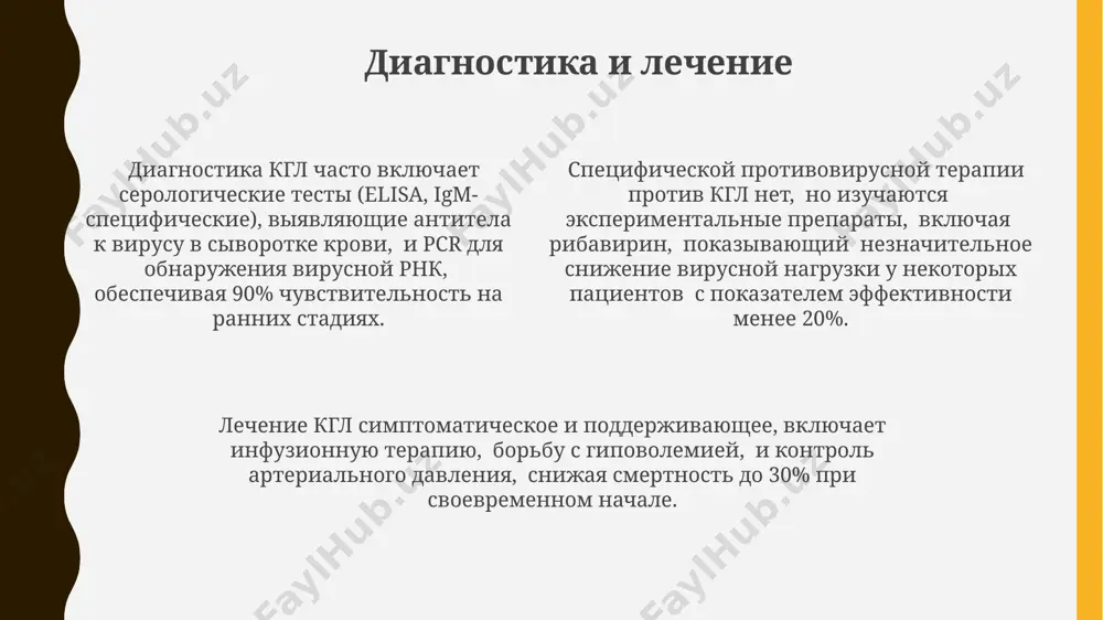 gemorragicheskaya lixoradka - Page 4