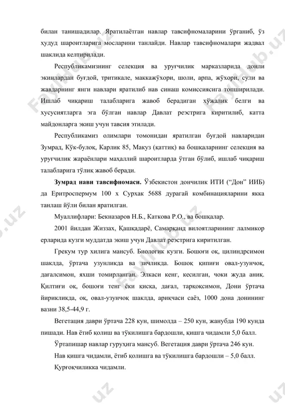 100 х сурхак 5688 дурагай комбинацияларини якка танлаш йўли билан яратилган. муаллифлари: бекназаров н.б., каткова р.о., ва бошқалар. 2001 йилдан жиззах, қашқадарё, самарқанд вилоятларининг лалмикор ерларида кузги муддатда экиш учун давлат реэстрига киритилган. грекум тур хилига мансуб. биологик кузги. бошоғи оқ, цилиндрсимон шаклда, ўртача узунликда ва зичликда. бошоқ қипиғи овал-узунчоқ, дағалсимон, яхши томирланган. элкаси кенг, кесилган, чоки жуда аниқ. қилтиғи оқ, бошоғи тенг ёки қисқа, дағал, тарқоқсимон, дони ўртача йирикликда, оқ, овал-узунчоқ шаклда, ариқчаси саёз, 1000 дона донининг вазни 38,5-44,9 г. вегетация даври ўртача 228 кун, шимолда – 250 кун, жанубда 190 кунда пишади. нав ётиб қолиш ва тўкилишга бардошли, қишга чидамли 5,0 балл. ўртапишар навлар гуруҳига мансуб. вегетация даври ўртача 246 кун. нав қишга чидамли, ётиб қолишга ва тўкилишга бардошли – 5,0 балл. қурғоқчиликка чидамли. 1996-2000 синов йилларида ўртача дон хосилдорлиги лалмикор нсш ларда 16,6 с., қамаши нсш да -22,7 с. оғир лалмикор шароитда об-ҳаво ноқулай шароитни ҳисобга олган …