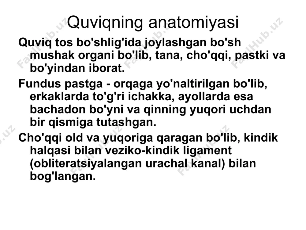 ior va ko'ndalang va yuqori-pastki o'lchamlarni o'lchaydigan bir qator bo'limlarni qilamiz. quviqning barcha bo'limlari va devorlarini, bo'yinlarini, siydik yo'llarining teshiklarini tekshirish, devorning tarkibini, qalinligi va tekisligini, qo'shimcha shakllanishlar mavjudligini, ularning harakatchanligi va joylashishini baholash kerak. agar transabdominal ultratovush tekshiruvi paytida siydik pufagining biron bir qismini ko'rishda qiyinchiliklar mavjud bo'lsa, uni tekshirish kerak. uning bo'shlig'i sensori (transrektal, transvaginal). quviqning old devori va pastki qismi, siydik chiqarish yo'llarining bo'yni va og'zi, kichik bo'shliqni egallagan shakllanishlar yaxshiroq ko'rinadi. transuretral ultratovush intrakavitar sensor ishlatiladi, bu esa siydik pufagini 360° sektorda tekshirish imkonini beradi tuus qovuq devorining barcha qatlamlarini aniq tasvirlaydi, bu o'simta invaziyasi chuqurligini aniqlashda tanlangan usuldir. quviq va siydik chiqarish kanalining rivojlanish anomaliyalari quviq divertikullari ureterosele ektopik siydik chiqarish teshigi siydik chiqarish teshigining yoshi quviq divertikullari (to'g'ri) divertikul - embriogenezda noto'g'ri shakllanganligi sababli siydik pufagi devorining barcha qatlamlarining qopga o'xshash chiqishi. divertikullar bitta yoki ko'p bo'lishi mumkin, ko'pincha devorlarda, kamroq tez-tez tepada yoki …