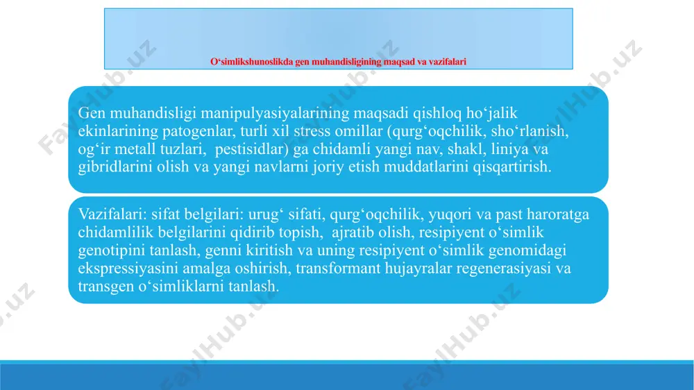 ayralari transformatsiyasi uchun zarur bo'lgan guruhga mansub ketma-ketliklarga ega guruhlarga bo'lish mumkin. shuni alohida qayd etish lozimki, birinchi guruh ;gardishsimon genlari promotorining prokariot tipiga ega va faqat bakteriya hujayrasidagina faoliyat yurita oladi, ikkinchi guruh genlari esa o‘simiik hujayrasida ham ishlay oladi. ikkinchi guruhga shish hosil bo‘lishi va opinlar sintezi uchun javobgar genlar kiradi. o‘simlikni agrobakteriyalar bilan zararlanishi natijasidagi transformatsiyasi quyidagicha kechadi. aniqlanishicha, agrobakteriya ham, ti - plazmida ham o‘simlik hujayrasi ichiga kirmaydi, lekin ti - plazmidaning bir qismi o‘simlik hujayrasi yadrosiga o‘tib, o‘simlik genomiga joylashib olishi mumkin ti - plazmidaning bu fragmenti t-dnk (ingliz tilidan transforming dna - transformatsiyalanuvchi dnk) deb nomlanadi. t-dnk ning uzunligi 25 m.n.j. t-dnk oxirlarida uni plazmida tarkibidan qirqish va o'simlik genomiga integratsiyasi uchun zarur to‘g‘ri ketma-ketliklar (25 m.n.j) joylashgan. t-dnk yettita gen: opinlardan birini kodirlaydigan nos geni (nopalinsintetaza) yoki ocs (oktopinsintetaza), shuningdek, shish hosil bo‘lish belgilarini kodirlaydigan oltita gen, ulardan ikkitasi auksin sintezi, bittasi sitokinin …