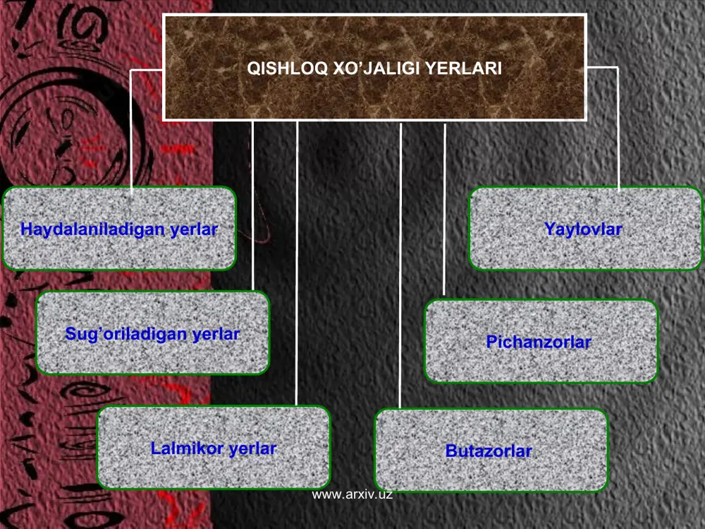qishloq xo’jaligi geografiyasi - Page 4
