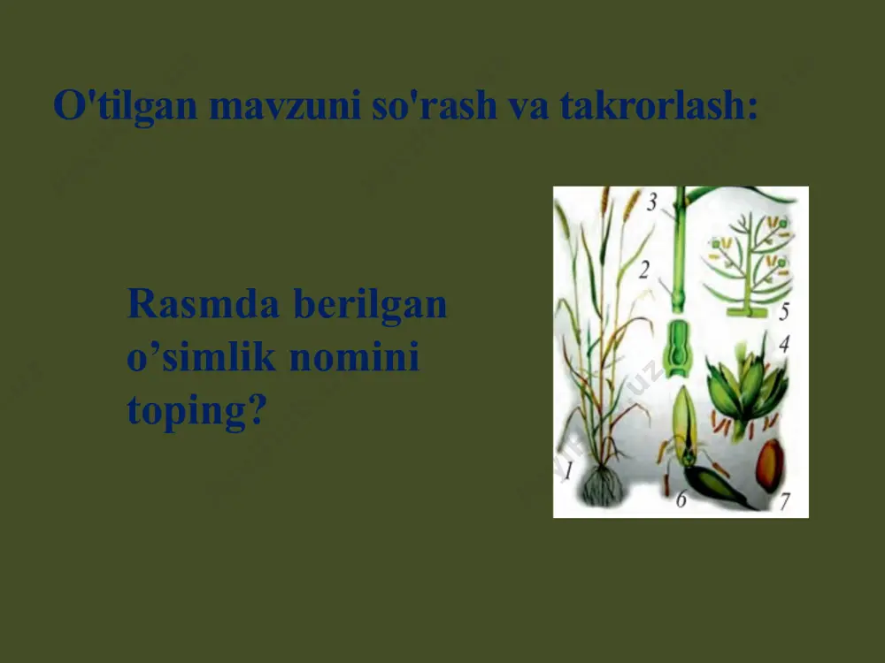 biologiya fanining laboratoriya mashg'uloti - Page 4