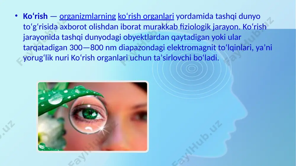 rangni ko'rish darajasini aniqlash, tam bilish va hid bilish anazilatorining o'zaro hamkorligi - Page 4