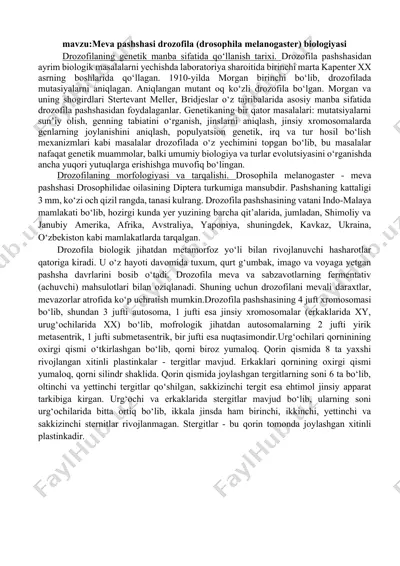 drozofila (drosophila melanogaster) — DOCX