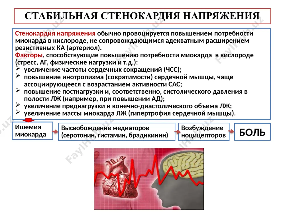 ские методы; коронарная ангиография. инфаркт миокарда - определение, этиология инфаркт миокарда (им) — это ишемический некроз сердечной мышцы, развивающийся в результате острой недостаточности коронарного кровообращения. основная причина развития им - атеросклероз ка (95%). 5% - эмболия (инфекционный эндокардит, внутрижелудочковые тромбы); врожденные дефекты развития ка и другие поражения (коронарииты при скв, ра). патогенез инфаркта миокарда осложнение бляшки. тромбоз ка (активации тромбоцитарных и плазменных факторов свертывания крови тканевым тромбопластином). выделение биологически активных веществ, обладающих мощным вазоконстрикторным действием (эндотелин, серотонин, тромбин, антитромбин а2). спазм. эмболия микроциркулярного русла. нарушение метаболизма сердечной мышцы с последующим развитием ишемии, ишемического повреждения и некроза. выраженное увеличение потребности миокарда в кислороде в результате физического или психоэмоционального напряжения, подъема ад и т.д. при полной окклюзии ка и слабом развитии коллатералей формируется трансмуральный им (инфаркт с зубцом q). при наличии пристеночного тромба, частично ограничивающего коронарный кровоток, и/или развитой сети коллатералей развивается нетрансмуральный им (инфаркт без зубца q). ремоделирование левого желудочка, связанное …