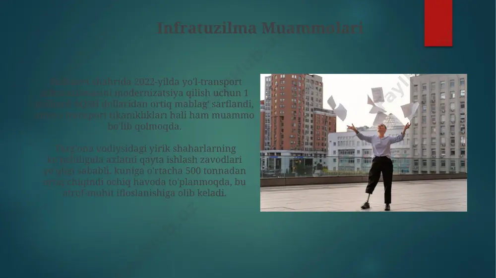 yirik shahar muammolari - Page 3