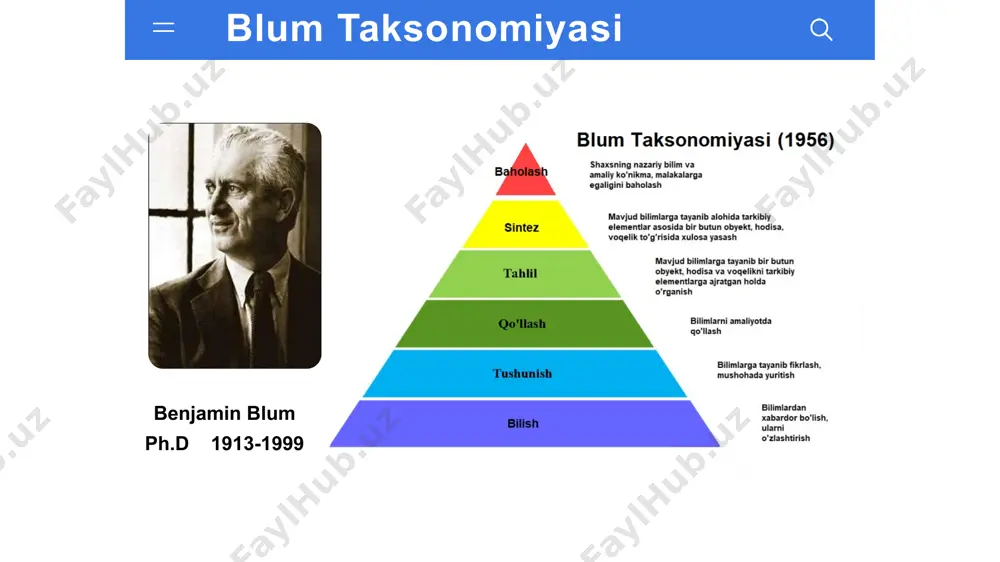 blum taksonomiyasi - Page 3