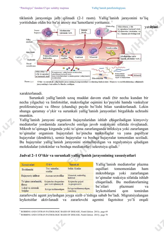 lan birga kelishi mumkin va zararlanish hattoki asosiy dominant bo’lib qolishi mumkin, agar reaksiya juda kuchli (kuchli infeksiyalarda), davomli bo’lsa (qachonki zararlovchi agent tezda o’lmasa) yoki yallig’lanishning himoyaviy xususiyati yetarli bo’lmay qolishi ham mumkin (qachonki reaksiya faqat zararlovchi agentning o’ziga qaratilgan bo’lsa masalan autoimmune kasalliklarda yoki allergic kasalliklarda). odamlardagi eng noxush kasalliklar bular yallig’lanishning yaroqsiz reaksiyasi asosidagi kasalliklar hisoblanadi, bular ko’pincha surunkali kasalliklardir. shunday qilib, yallig’lanish jarayoni tibbiyotdagi deyarli barcha kasalliklar asosida yotadi. organizmni himoyalaydigan leykotsitlar va plasma oqsillari normada qonda aylanib yuradi va yallig’lanish reaksiyasining maqsadi ularni infeksion jarayonga yoki zararlangan to’qimaga olib kelish. qo’shimcha ravishda qon tomir devori hujayralari, extracellular matritsadagi (ecm) hujayralar va oqsillar ham yallig’lanish jarayoni va qayta tiklanish jarayoniga jalb qilinadi (2-1 rasm). yallig’lanish jarayonini to’liq yoritishdan oldin biz ba’zi asosiy ma’lumotlarni yoritamiz. [footnoteref:1] [1: robbins and cotran pathologic basis of disease, ninth edition 2015y. page 69] yallig’lanish jarayoni o’tkir yoki surunkali bo’lishi mumkin (jadval …