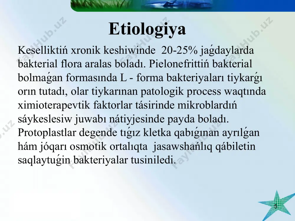 p shıǵarmawı. zat almasıwdıń buzılıwları. qantlı diabet giperuraturiya, giperoksaluriya, nefrokalcinoz. sidik tas keselligi normal ish ótiwiniń buzılıwı. * búyrek toqımasınıń zıyanlanıwına alıp keliwshi sebepler: mikroorganizim persistenciyası. makrofag hám neytrofiller infiltraciyası menen ótiwshi isiniw processi. qan tamırdaǵı ózgerisler-vazokonstrikciya, ishemiya. «steril» reflyuks bakteriya túrleri menen isiniwdiń uslanıp turıwı (protoplastlar, l –túrler). * patogenezi. jaqın kúnlerge shekem pielonefrit bakteriologik tekseriwler kóz qarasınan qaralıp kelingen. kesellik patogenezin úyreniwde tiykarınan búyrek toqımasında mikroblardıń fiksaciyalanıwına sharayat jaratıwshı faktorlarǵa áhmiyet berilgen. eń dáslep sidik sistemasınıń túrli bólimlerinde (nefronnan tap uretraǵa shekem) sidik passajınıń buzılıwına alıp keliwshi faktorlarǵa, ádette búyrekke infekciyanıń kiriw jolları gematogen, limfogen, joqarıǵa kóteriliwshi yamasa urinogen bolıwı múmkin. * * pen da búyrektiń infekciyalanıw jolları kóteriliwshi (urinogenli) (qozǵatıwshılar periuretrallı hám uretrallı oblastlardan kiredi) gemotogenli (shaqalaqlarda kóbinese septicemiyada, bakteriemiya menen keshiwshi keselliklerde) limfogenli (retrogradlı, ishektiń organik hám funkcionallıq keselliklerinde) * пути развития пиелонефрита при гематогенном проникновении инфекции инфекция пиелонефрит повреждение перитубулярных каппиляров воспаление интерстиция поражение канальцев …