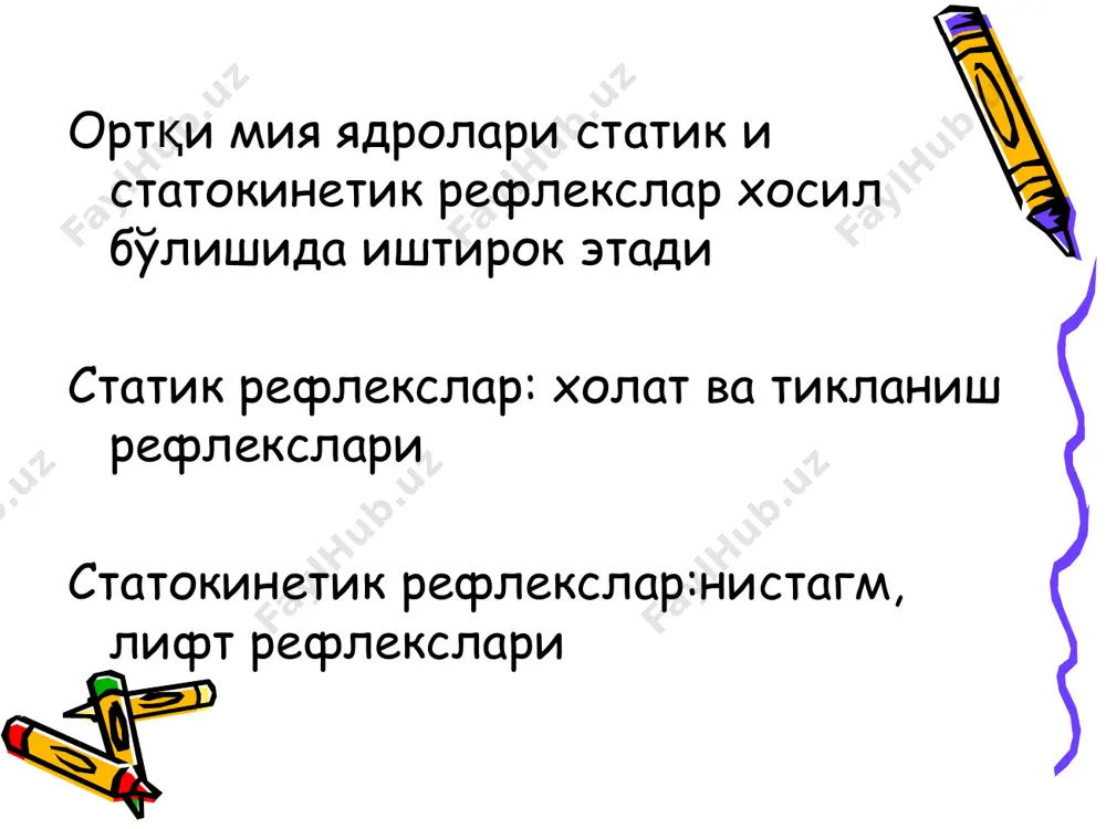 узунчоқ мия ва ўрта мия функциялари - Page 4