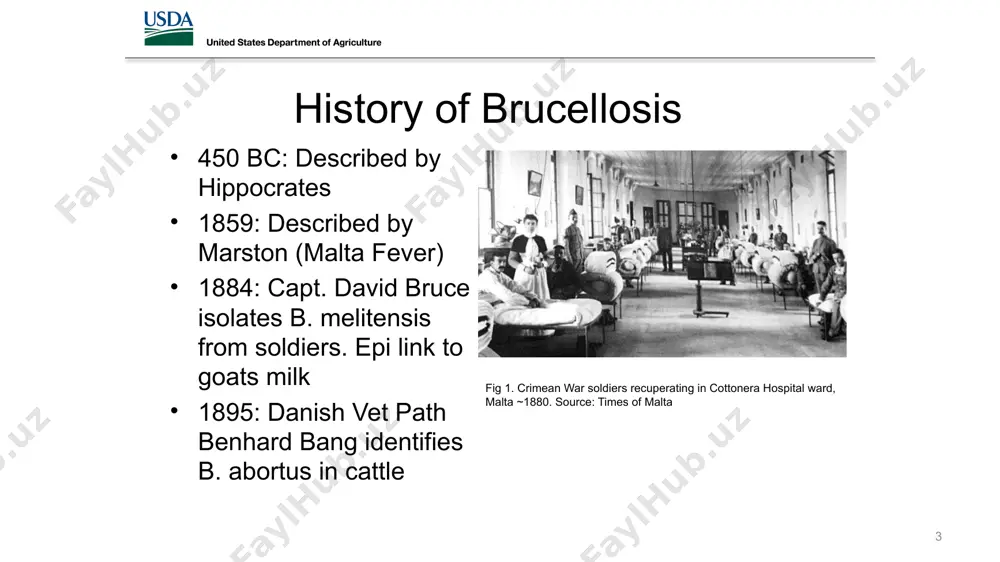 roblem in terms of economics to the cattle industry and human health prompted the united states congress to appropriate funds for a comprehensive national effort to eradicate brucellosis. the brucellosis eradication program was designed as a cooperative effort between the federal government, the states, and livestock producers. a major factor in the success of the program was the acceptance of eradication program procedures by livestock owners in spite of the inconvenience, cost, and additional work required. 5 history of us brucellosis program 6 1934: start of us brucellosis eradication program 1941: strain 19 vaccine approved it was a slow start efforts to eradicate brucellosis caused by brucella abortus in the united states began in 1934 as part of an economic recovery program to reduce the cattle population because of the great depression and concurrent severe drought conditions. a number of states saw this as an opportunity to reduce the level …