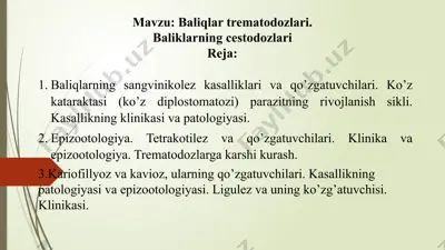 baliqlarning trematodoz va cestodoz kasalliklari — PPTX