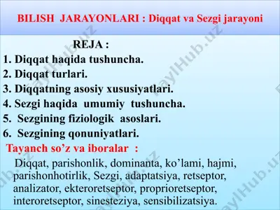 diqqat va sezgi jarayonlari — PPTX