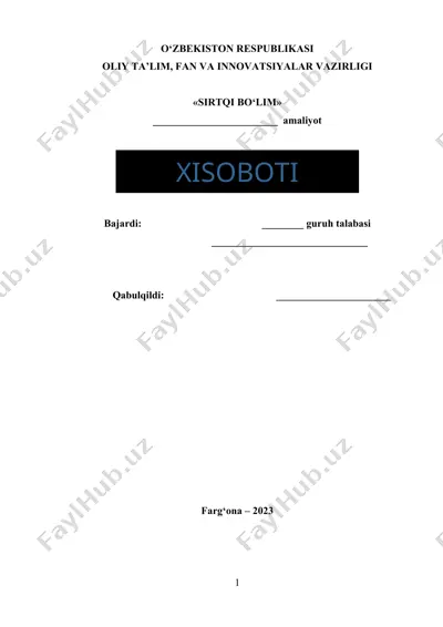 sirtqi bo‘lim xisoboti — DOC
