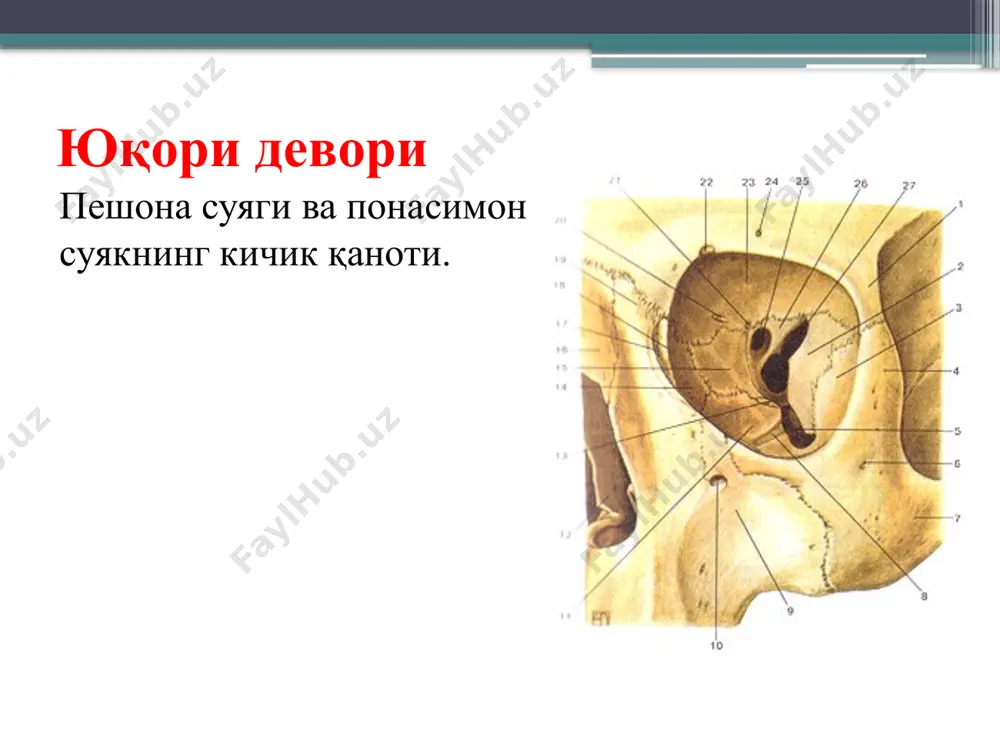 kўz kасаллиklari kаfudrаsi - Page 3