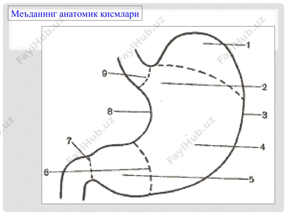 талари