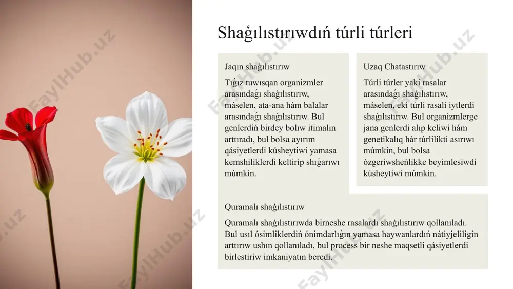 hám keselliklerge shıdamlı boladı. bunıń sebebi, olar hár túrli genlerdi aladı, bul bolsa olardı hár túrli ortalıq sharayatlarına beyimlesiwge járdem beredi. 2 ónimdarlıǵı joqarı duragay ósimlikler óz ata-analarına qaraganda kóbinese kóbirek ónim beredi. haywanlar gibridleri bolsa kóbirek sút, máyek yamasa gósh payda etiwi múmkin. 3 tez ósiw gidridler óz ata-analarına qaraganda tez ósiwi múmkin, bul bolsa olarǵa qısqa waqit ishinde kóbirek ónim alıwģa járdem beredi. 4 xár túrlilik gípirleniw organizmlerdiń genetikalıq hár túrliligin arttırıwģa járdem beredi, bul bolsa qorshagan ortalıq ózgeriwine beyimlesiwdi jaqsılaydı. 8 selekciya procesinde gibridleniwdiń abzallıqları ónimdarlıqtı arttırıw gúrilis ósimliklerdiń ónimdarlıǵın arttırıwģa járdem beredi, bul bolsa azıq-awqat qáwipsizligin támiyinlew ushın áhmietli. ósimliklerdiń kesellikke shıdamlılıǵın arttırıw gidrogen ósimlikler óz ata-analarına qaraganda kóbinese keselliklerge shıdamlıraq boladı, bul bolsa ósimliklerdiń joǵalıwın azaytadı. haywanlardıń nátiyjeliligin arttırıw aralas haywanlar kóbirek sút, máyek yamasa gósh payda etiwi múmkin, bul bolsa awıl xojalıǵınıń nátiyjeliligin arttıradı. genetikalıq hár túrlilikti arttırıw gípirleniw organizmlerdiń genetikalıq hár túrliligin arttırıwģa …
