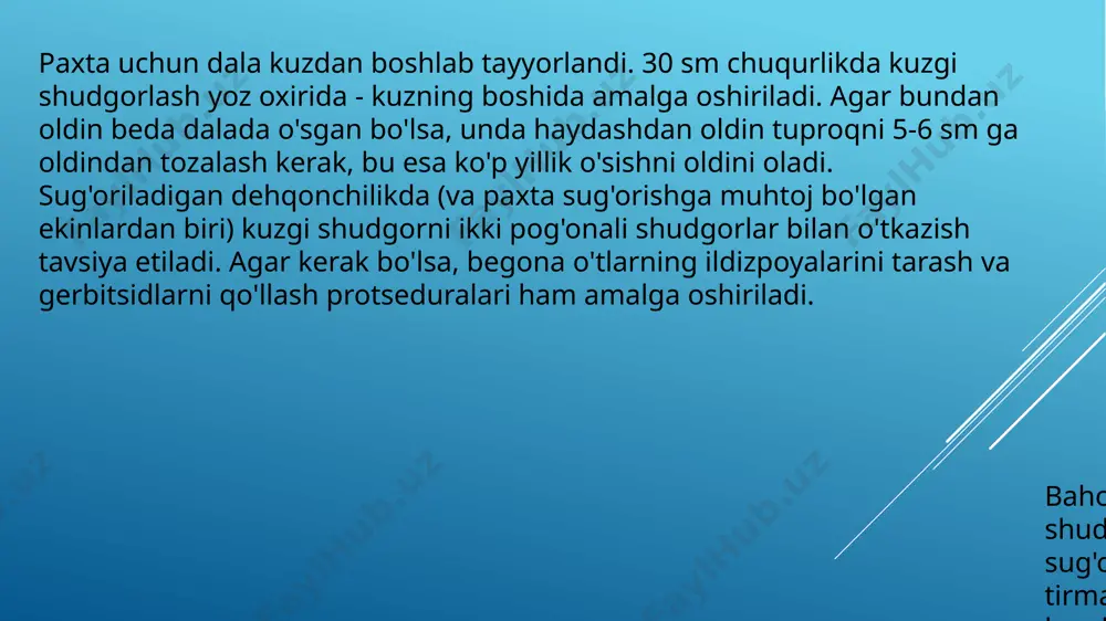z tasavvur etib bo'lmaydi. ushbu materialdan tayyorlangan matolar ajoyib xususiyatlarga ega. ko'p asrlar oldin bo'lgani kabi, vaqt o'tishi bilan paxta talab bo'lib qolmoqda. paxta tolasining etilish davri naviga qarab o'zgaradi: 100 dan 200 kungacha. paxta tolasini yetishtirish uchun yaxshi tayyorlangan, g‘ovak tuproq zarur. unda ozuqa moddalarining mavjudligi o'simlikning to'liq o'sishi uchun katta ahamiyatga ega. shuning uchun ekishdan oldin yer turli o'g'itlar bilan boyitiladi. issiq iqlim sharoiti ham katta rol o'ynaydi. urug'lar 15 darajadan past bo'lmagan haroratda unib chiqishi mumkin. rivojlanish va keyingi gullash uchun harorat 30 darajaga yetishi kerak. paxta quyosh nuriga ochiq kirishni talab qiladi. soyada o'simlik o'lishi mumkin. paxta o'simliklari ko'p suv iste'mol qiladi. zavodni namlik bilan ta'minlash mo'l-ko'l va doimiy ravishda sodir bo'lishi kerak. shu bilan birga, g'o'za yaxshi rivojlangan ildiz tizimi tufayli qurg'oqchilikka toqat qiladi. ammo bunday sharoitda hosil kamayadi. o'simlikda g'o'zaning pishishi notekis, shuning uchun hosil bir necha bosqichda amalga oshiriladi. ko'pincha, o'rim-yig'im jarayoniga xalaqit …