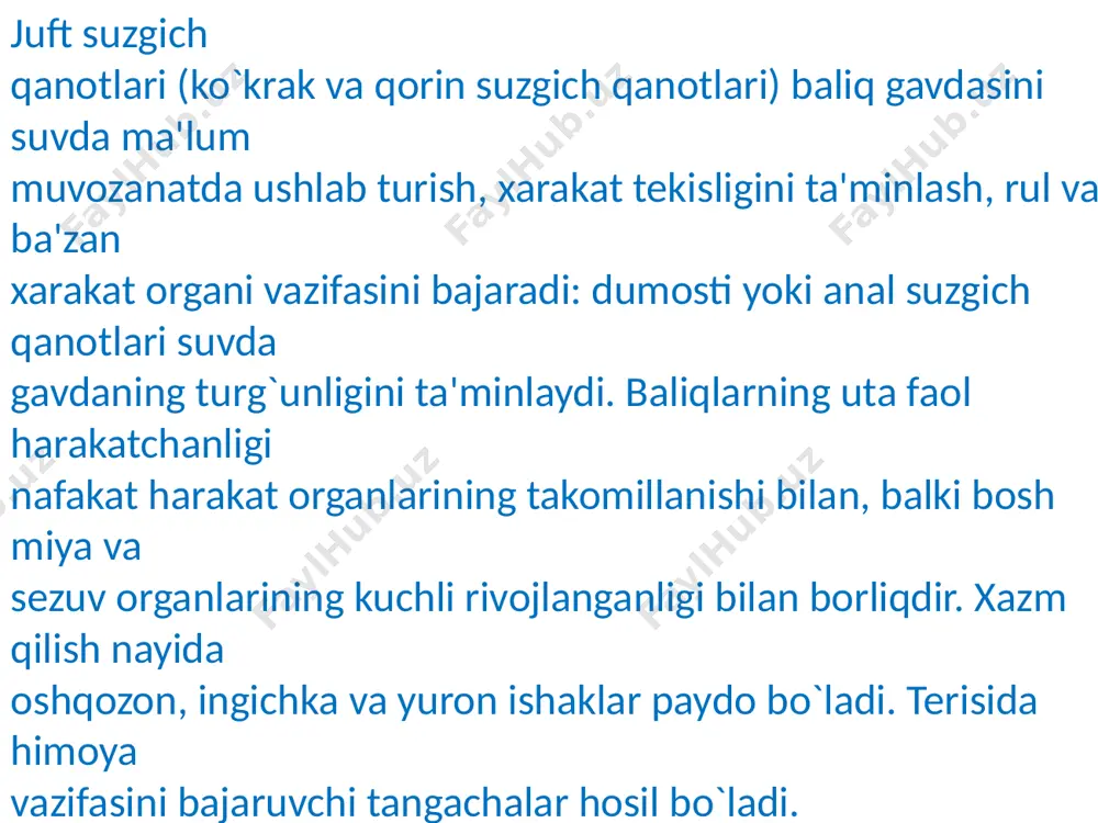 ngi tomondan ichiga chuqur botib kirgan. bunday umurtqa qo`sh botiqli yoki amfisel umurtqalar deb ataladi. har qaysi umurtqa tanasining markazida teshik bor, bu teshiukdan xorda o`tadi va har bir umurtqaning ikkinchi umurtqa bilan qo`shilgan yerida u kengayib har qaysi umurtqa tasnasidan o`tganda torayadi. umurtqa tanasining ustki yon tomonlarida bir juft o`simta –ustki yoy chiqadi, bu yoylarning orasida ustki oraliq plastinkalar bor. umurtqaning asosiy qismini umurtqa tanasi tashkil etadi. umurtqa tanasi orqa va oldingi tomondan ichiga chuqur botib kirgan. bunday umurtqa qo`sh botiqli yoki amfisel umurtqalar deb ataladi. har qaysi umurtqa tanasining markazida teshik bor, bu teshiukdan xorda o`tadi va har bir umurtqaning ikkinchi umurtqa bilan qo`shilgan yerida u kengayib har qaysi umurtqa tasnasidan o`tganda torayadi. umurtqa tanasining ustki yon tomonlarida bir juft o`simta –ustki yoy chiqadi, bu yoylarning orasida ustki oraliq plastinkalar bor. tana qismining pastki yoylari qisqa yon o`simtalardan iborat bo`ladi. bu yon o`simtalarga tog`ay qovurg`alar birikadi. dum qismi …