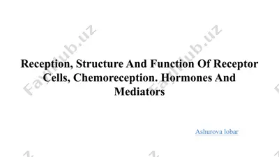 receptor cells — PPTX