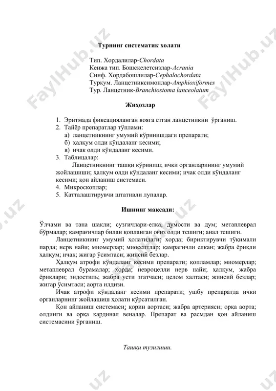 ofi ko'ndalang kesimi preparati: ushbu preparatda ichki organlarning joylashish holati ko'rsatilgan. qon aylanish sistemasi: qorin aortasi; jabra arteriyasi; orqa aorta; oldingi va orqa kardinal venalar. preparat va rasmdan qon aylanish sistemasini o'rganish. tashqi tuzilishi. lantsetnikning tashqi tuzilishini lupa yordamida voyaga etgan, fiksatsiyalangan preparatdan o'rganiladi. yarim tiniq hayvonning tana uzunligi 5-8 sm. cho'zinchoq gavdasining ikki yoni qisilgan, ikki uchi o'tkirlashgan (5-rasm). lantsetnikning orqa tomonida bor bo'yiga chizilgan orqa suzgich qanoti bor. dumi keng dum suzgich qanoti bilan o'ralgan bo'lib, shakli lantsetga o'xshaydi. qorin tomonining keyingi qismida kalta va ensiz qorin suzgich qanoti o'rnashgan. gavdaning oldingi uchida pastga qarab turadigan va qamragichlar bilan o'ralgan katta og'iz oldi teshigi bo'ladi. bu teshikning orqasida, gavda pastki bo'lagining ikki yon tomonida bir-biriga parallel o'rnashgan ikkita metaplevral burmalari bor. shu burmalar qo'shilgan joyda jabra oldi bo'shlig'i yoki atrial bo'shliqning chiqish teshigi-atriop joylashgan. lantsetnikning tashqi ko'rinishidan muskullar sigmentatsiyasi ya'ni miomerlar yaxshi ko'rinadi. miomerlarning har qaysisi biriktiruvchi to'qima …