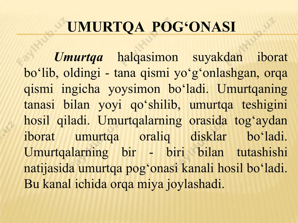 tanaskeletining tuzilishi - Page 5