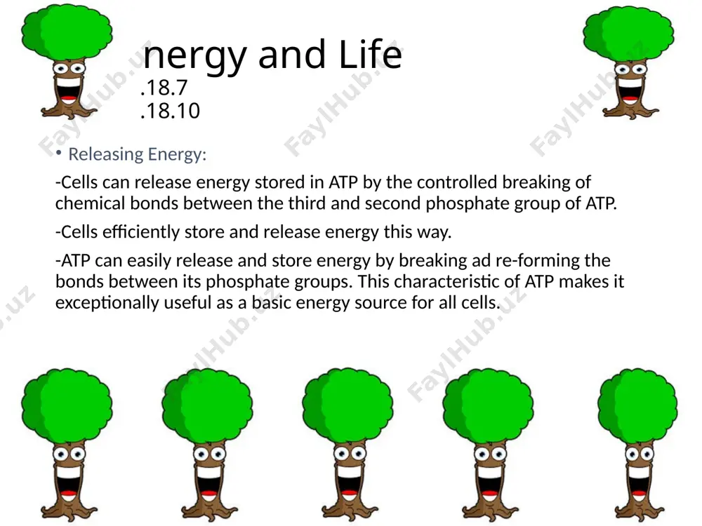 n movement and atp formation: -other than being added to nadp some hydrogen ions are pumped in from the stroma. -the buildup makes the stroma negatively charged relative to the space within the thylakoids. -this difference provides the energy to make atp so that it can help carry out photosynthesis. -atp synthase allows hydrogen ions to pass through the stroma. 8.3 the process of photosynthesis sc.912.l.18.7 summary of light dependent reactions: -the light dependent reactions produce oxygen gas and convert adp and nadp into atp and nadph. -these play important roles in starting photosynthesis and completing the processes carried out in photosystems. -they provide energy needed to build high-energy sugars from low-energy carbon dioxide. 8.3 the process of photosynthesis sc.912.l.18.7 the light-independent reactions producing sugars: what happens during the light independent reactions? -the atp and nadph store much energy but cannot store the high amount for more than a few …