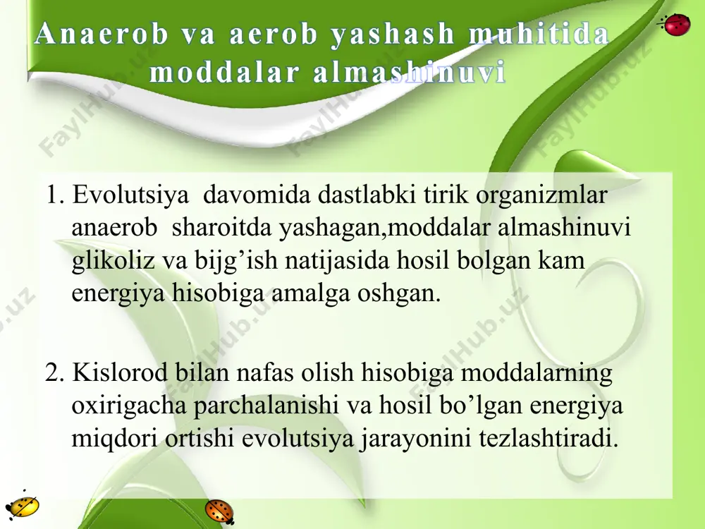 nafas olishning evolyutsiyasi - Page 3