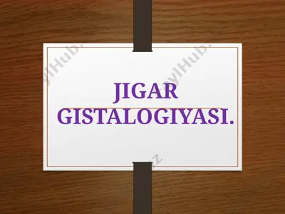 jigar gistalogiyasi — PPTX