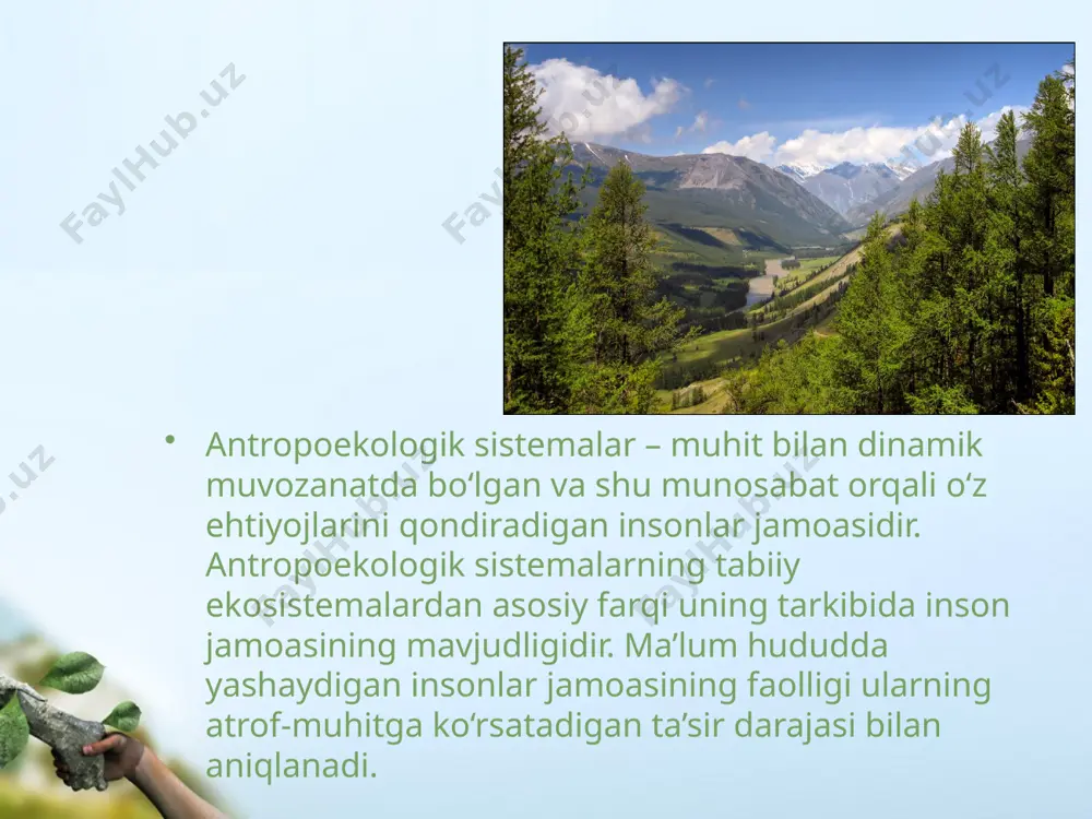 inson ekologiyasi - Page 4